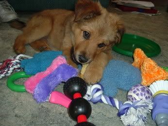 Image hosted by Photobucket.com